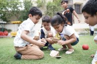 Annual day